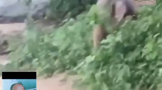 নেপাল #viral