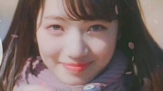 [Japanese film and TV drama mashup/spring freshness/healing] Sakura Festival in March