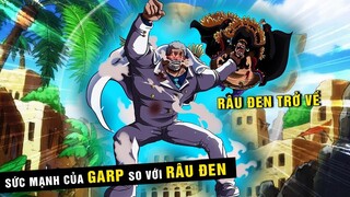 Râu Đen trở về Đảo Hải Tặc, Garp bị băng Râu Đen bào mòn thể lực [ One Piece 1083+ ]