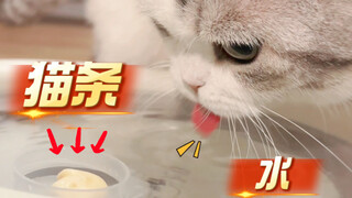 Berapa banyak yang bisa dimakan kucing jika menaruh stik makanan kucing di dalam air?