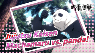 Jujutsu Kaisen[16]Machamaru vs. panda! Brothers and sisters in the body? The brother is a gorilla?