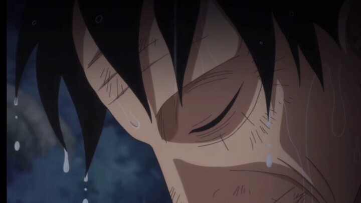 Luffy setia banget nunggu sanji sampe kurus kering🥺
