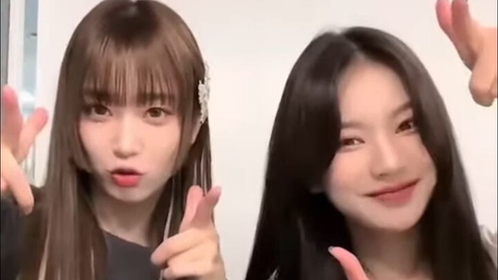 火遍某音的247手势舞是裴秀珉的想法？论247 challenge的起源