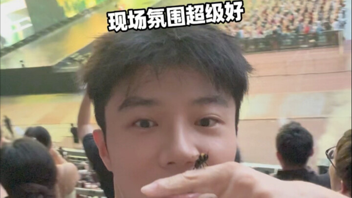 带小蜜蜂去看演唱会