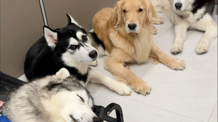 The little golden statue is gone.