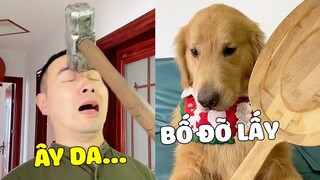 Tứ Mao | Khi Bố Dám Bày Trò Troll Tứ Mao Máu Liều Thì Hậu Quả Phải Nhận Được Là 🤣 Gâu Đần Official