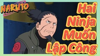 Hai Ninja Muốn Lập Công