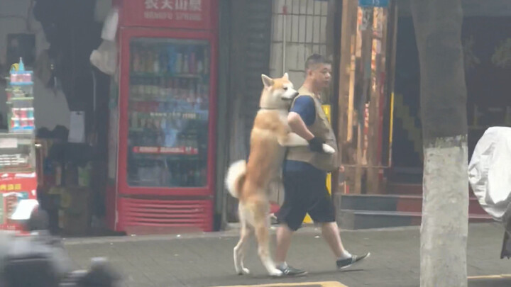 This dog doesn’t want to leave, but who knew its owner would deal with it like this… I’m dying of la