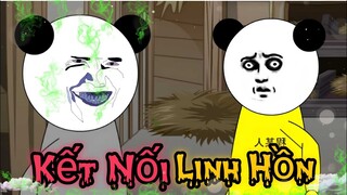 gấu kinh dị : kết nối linh hồn | phim hoạt hình gấu hài hước kinh dị