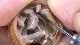 هبة الطبيعة، صنع يد الله الخفية