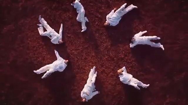Enhypen "Bite me"