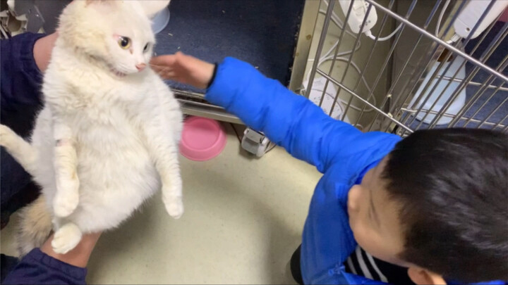 اليوم السابع بعد إنقاذ الهرة الصغيرة