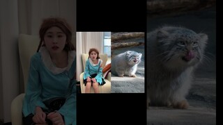 小朋友们喜欢兔狲吗？斗罗大陆 #小舞 #唐舞桐 #唐三