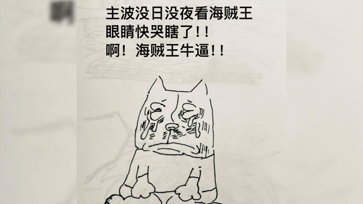 Reflections on Watching One Piece: Pirate King