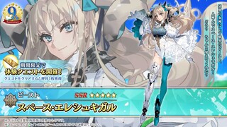 【FGO·1080P】Swimsuit Elle