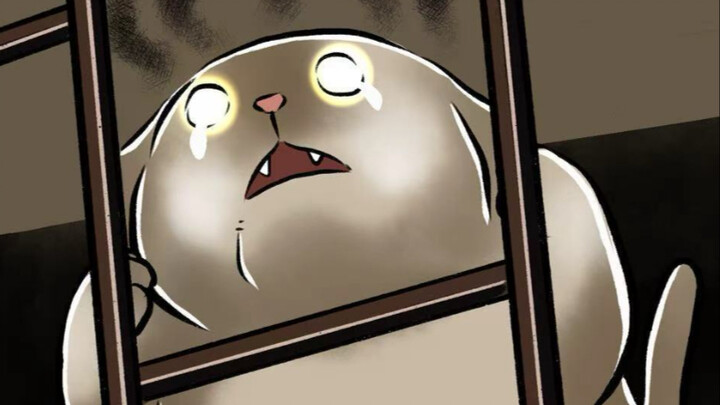Tonight, this kitty’s gonna make the whole world hear my rant～～