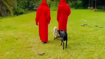 Call illuminate Agent brotherhood Uganda+256750767251/+256777059420
