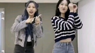 Summer × Xinfly Super Yuppers challenge