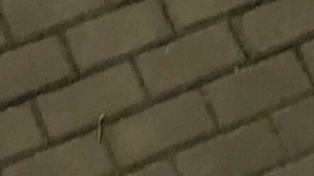 It turns out it only takes a few dozen seconds to go from love to hate #CoupleLife