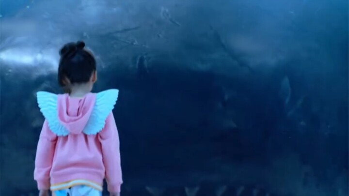 Decoding the Most Dangerous Predator: The Oceanic Dominator, the Megalodon