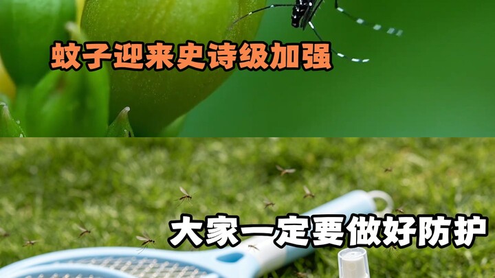 Muỗi vừa nhận bản nâng cấp cực khủng, mọi người nhớ phòng hộ kỹ nhé!