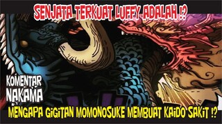 MENGAPA GIGTAN MOMO MENBUAT KAIDO SAKIT!? DAN SENJATA TERKUAT LUFFY ADALAH!? [KOMENTAR NAKAMA]