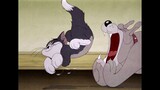 Tom and Jerry - Best Buddies