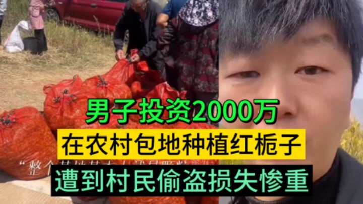 A man invested over 20 million yuan and has been clearing land to grow red gardenias since 2014. Onl