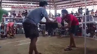 champion derby