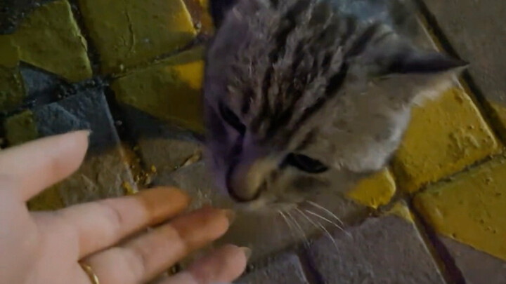 คนน่า คุณมีกลิ่นขมๆ ฉันมาอยู่เป็นเพื่อนนะ!