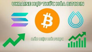 BẢN TIN CRYPTO NGÀY 09/09 | UKRAINE HỢP THỨC HÓA BITCOIN | SOLANA | DYDX | SMART CONTRACT