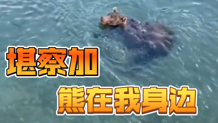 Kamchatka: Bears Are Right Beside Me