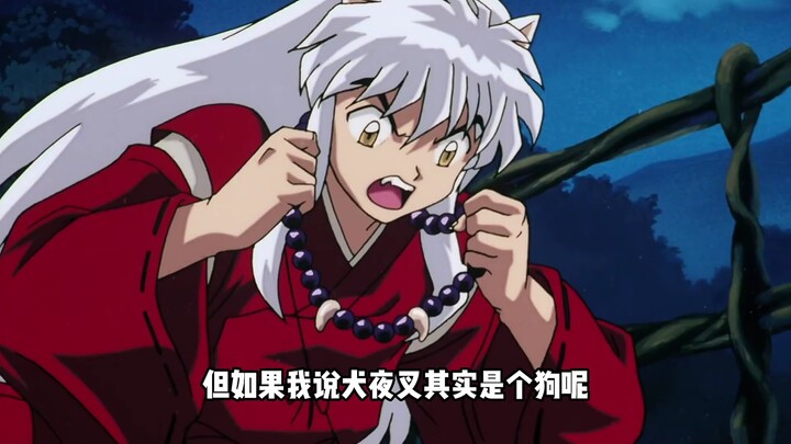 Apakah InuYasha memang seekor anjing?