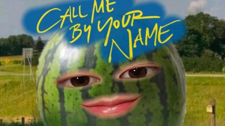 Call Me by Your Name – “Mystery of Love”   Melons are still sweet in summer~