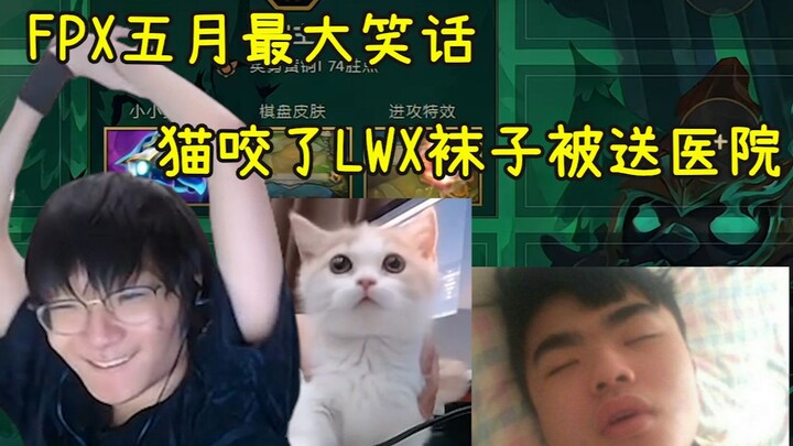 小天讲述FPX五月最大笑话，猫咪闻了翔哥的袜子被送进医院，差点去世……