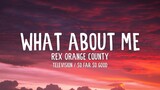 Rex Orange County - Television / So Far So Good (Lyrics) " What About Me "
