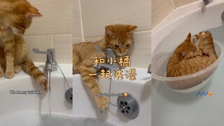 和小橘一起洗澡🛁🥰🥰
