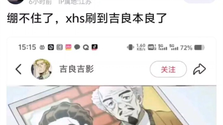 绷不住了，xhs刷到吉良本良了