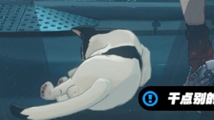 [Zero Escape] Why does your cat have an extra bit compared to cats in other games?