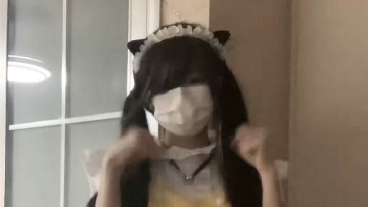 Miau miau o(＝•𖥦＜=)o★～！