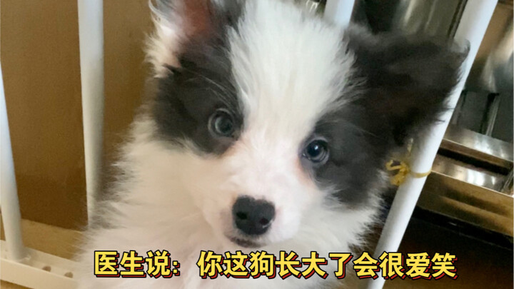 Aku berpikir: Seberapa sering sih dia tertawa?