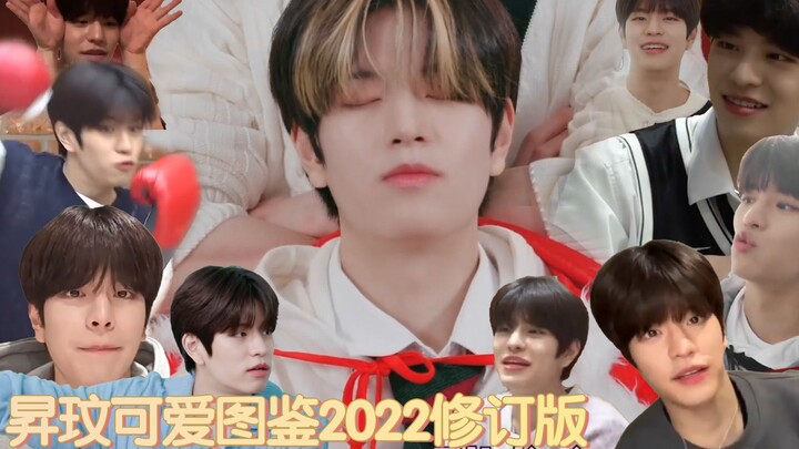 【Kim Seung-min】【Buatan Sendiri Gula】Ensiklopedia Kelucuan Seung-min Edisi Revisi 2022.zip