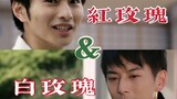 【凯伽／遥伽】红玫瑰&白玫瑰