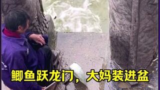 Ngồi hưởng lợi.