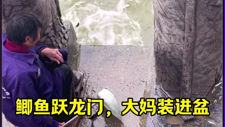 الاستفادة من الآخرين