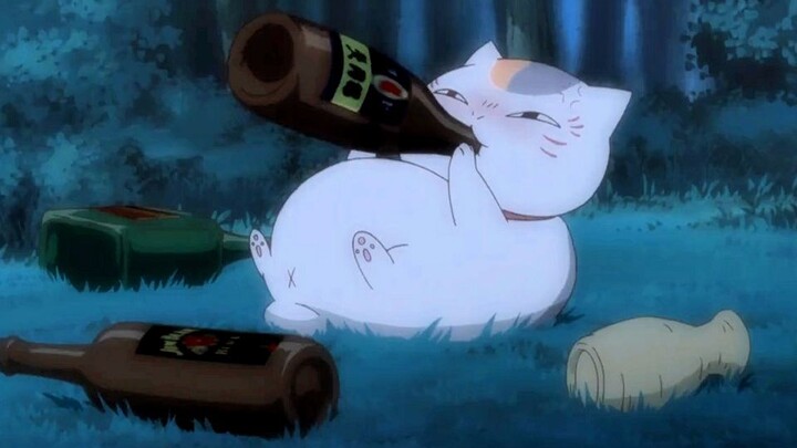 [ Natsume's Book of Friends ] Gao Neng, the story of the cat teacher's lovelorn, Sansan who borrows alcohol to relieve his sorrows