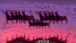 Such a cute little spore—of course I want to share it with someone you like!