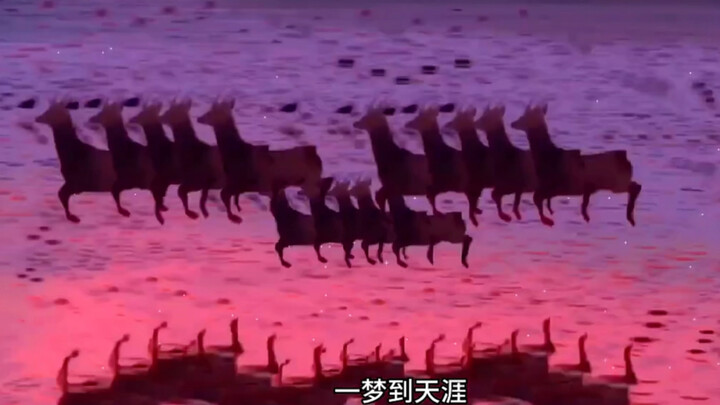 这么可爱的傻孢子，当然要分享给你喜欢的人呀！