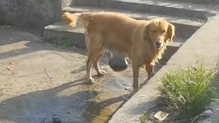 I live in Bengbu. I thought you were taking a bath.
