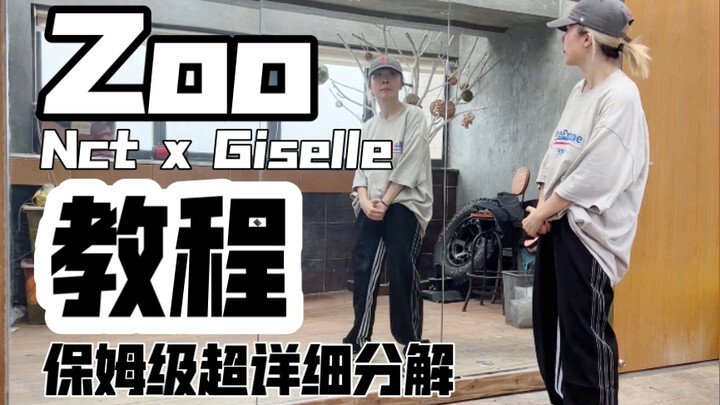 保姆级超详细分解教程 四带一也带不动的Zoo 家里场地条件有限，别嫌弃哦！